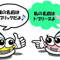 トブリックとトブリーヌ