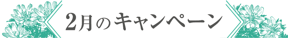 2月のキャンペーン
